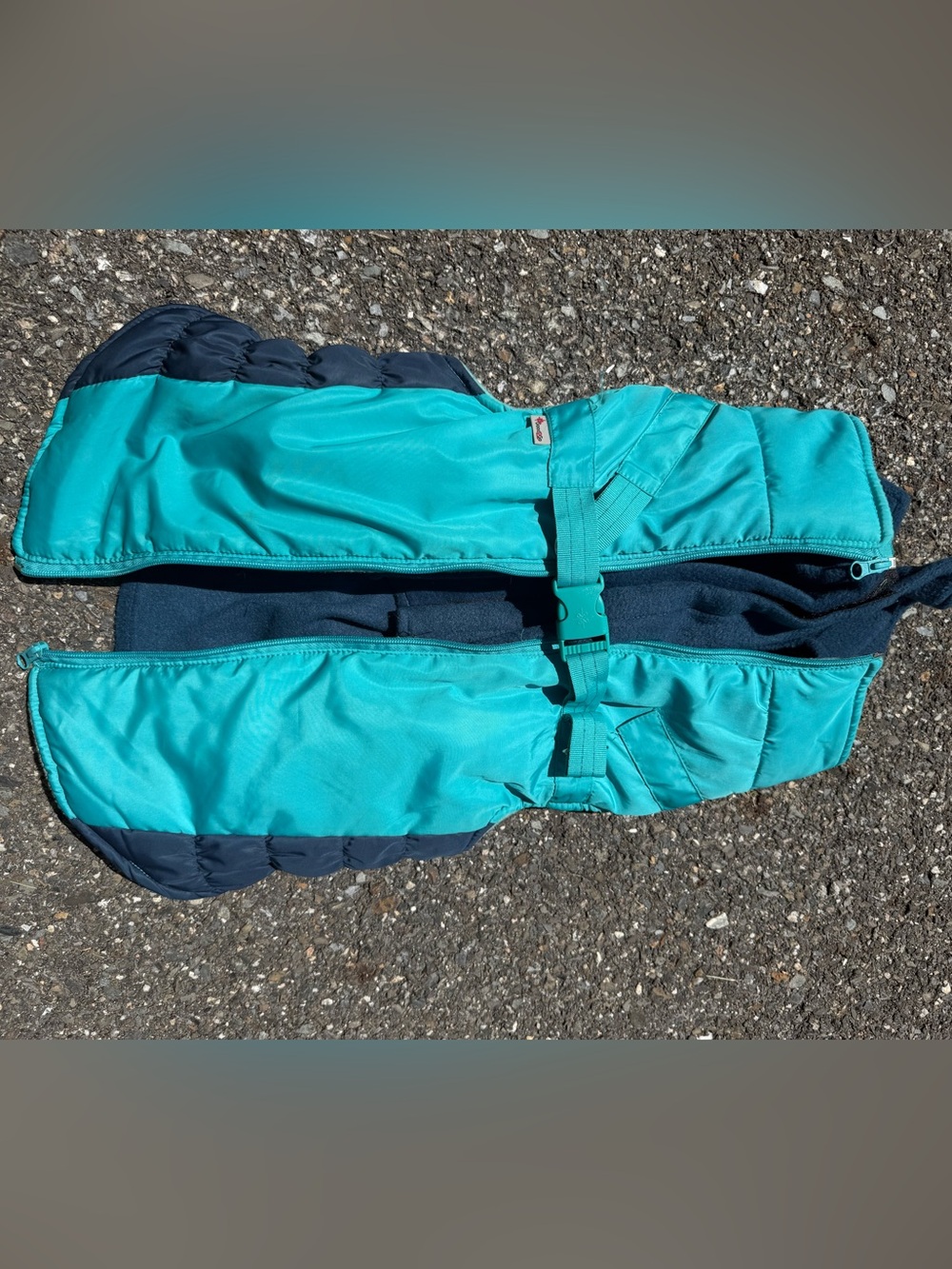 Good2Go Teal and Navy Dog Coat